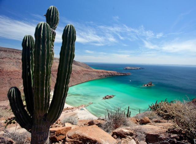 Miradoternera de los cabos